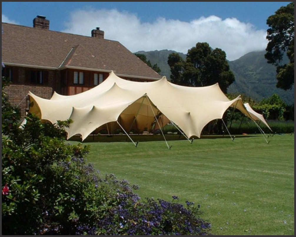 Sweeping stretch tent on an estate lawn with mountain backdrop