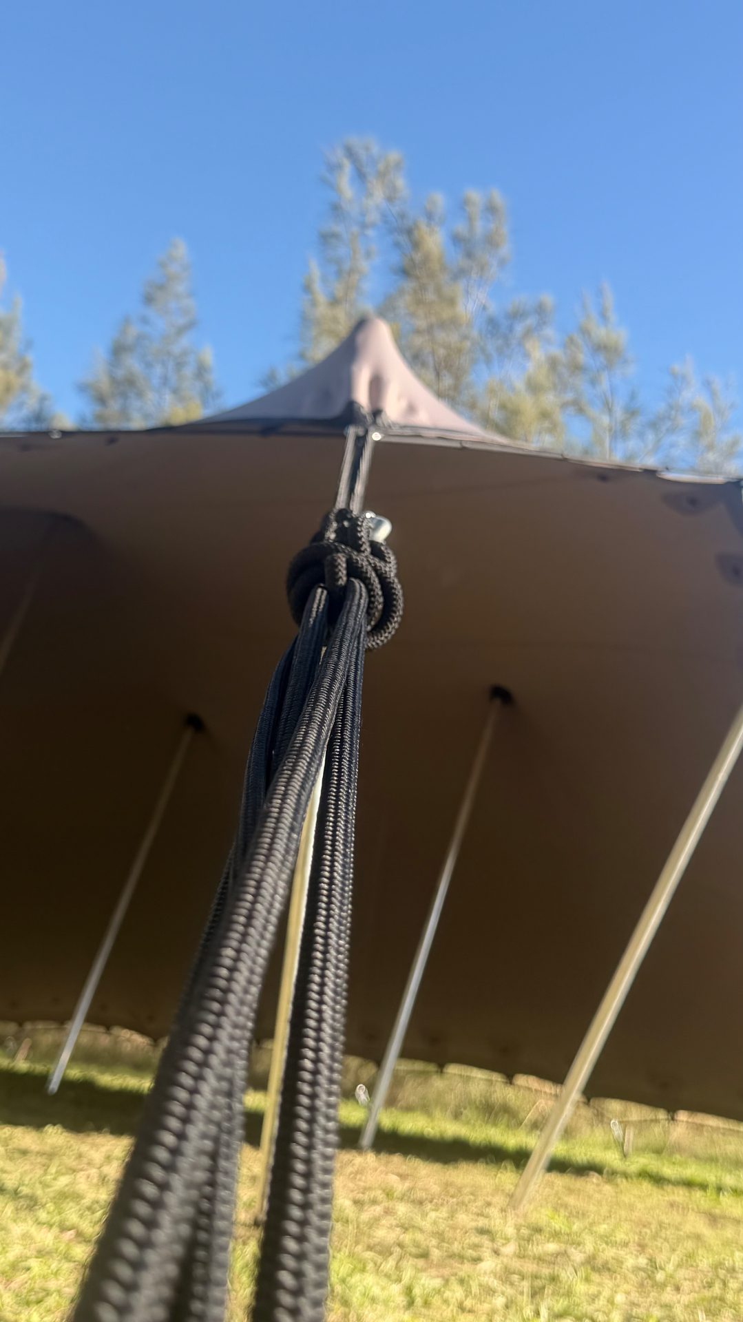 Charcoal stretch tent installed by Erectus crew